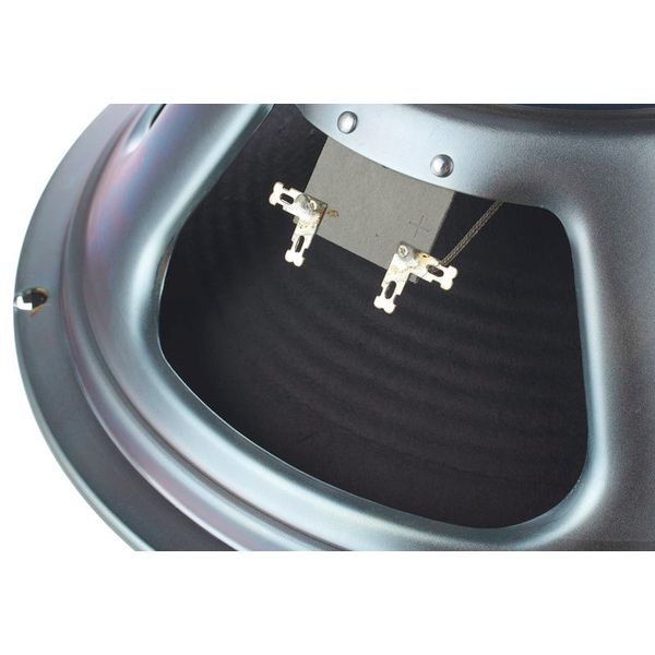 the t.amp Replacement Woofer PA 4080 KB