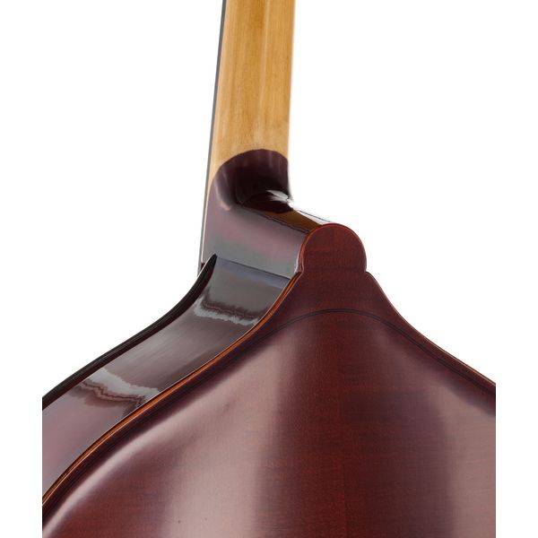 Thomann 44AS/5str. 3/4 Europe Bass