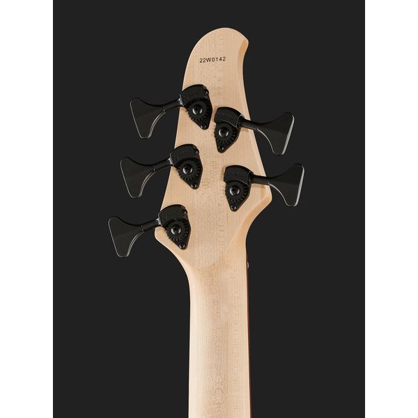 Dingwall D-Roc Standard 5 Aquamarine