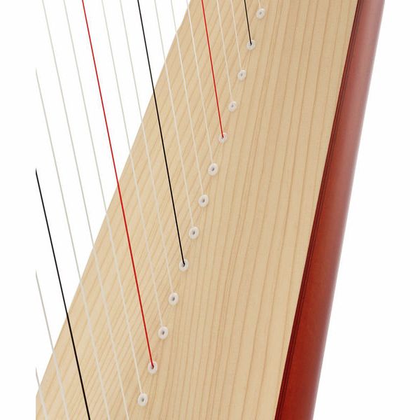 Salvi Titan Cherry Sipario Biocarbon