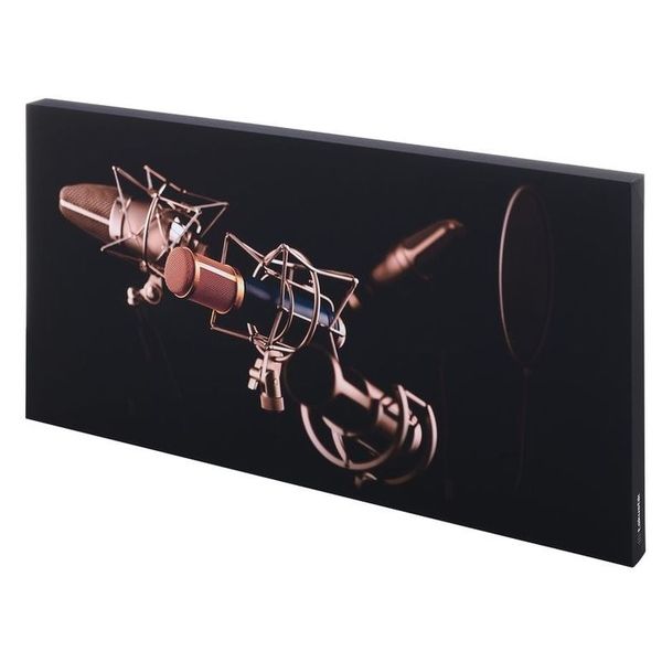 t.akustik Print Panel Mic Check