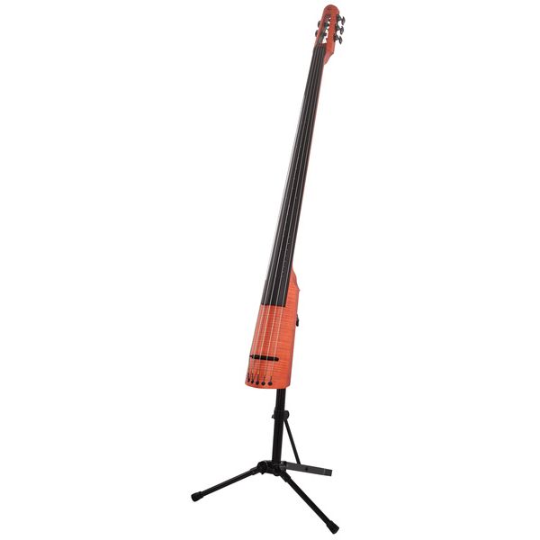 NS Design CR5 Upright Bass Amber