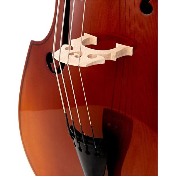 Thomann 11 1/10 Europe Double Bass