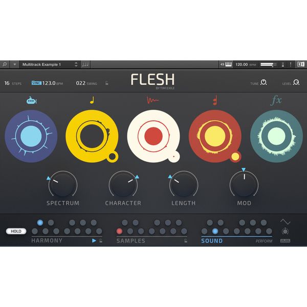 Native Instruments Flesh