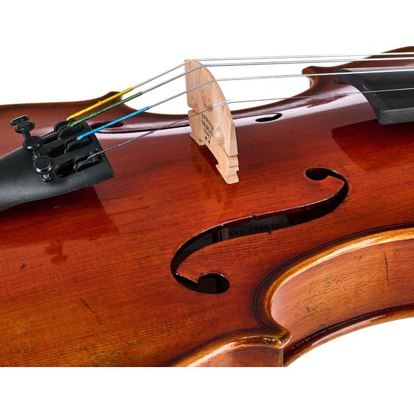 Eastman Albert Nebel Violin VL601G+