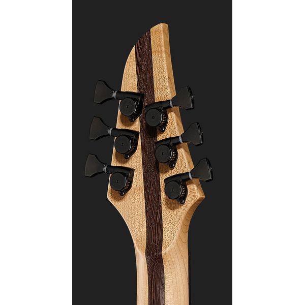 Mayones Guitars Duvell Elite 4Ever 6 PB