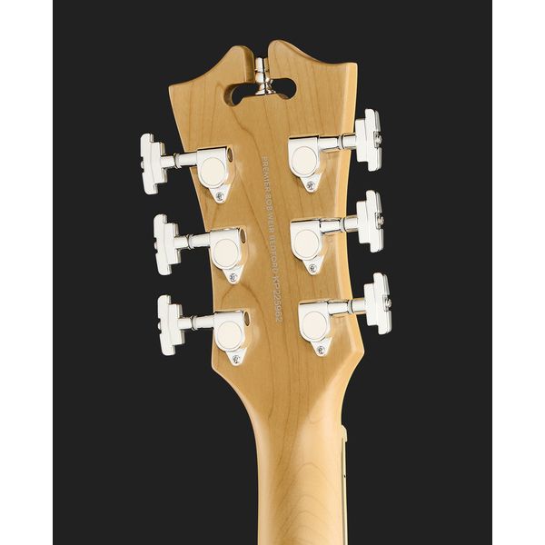 DAngelico Premier Bedford Bob Weir Sig