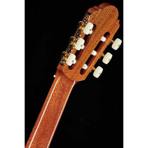 Asturias Kodaira AST-100