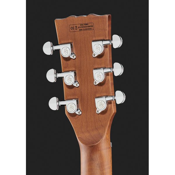 Harley Benton Aeolus Frost Flame