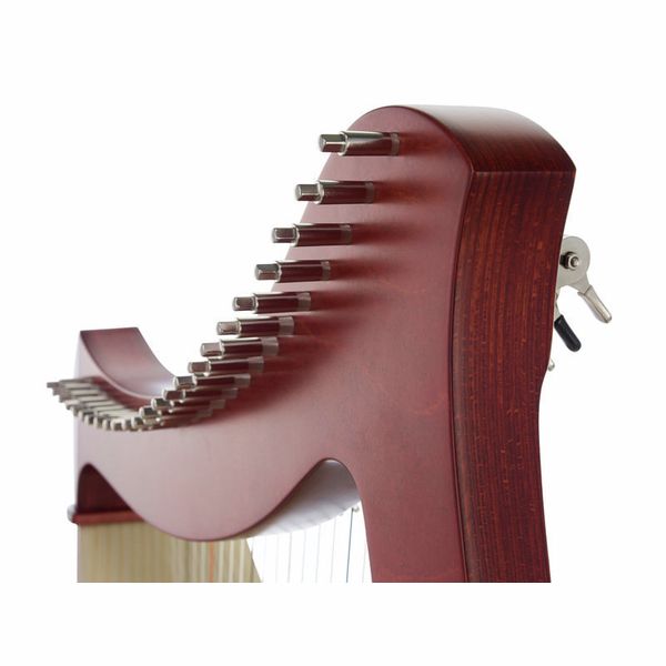 Salvi Juno 25 Mahogany Sipario Bioc.