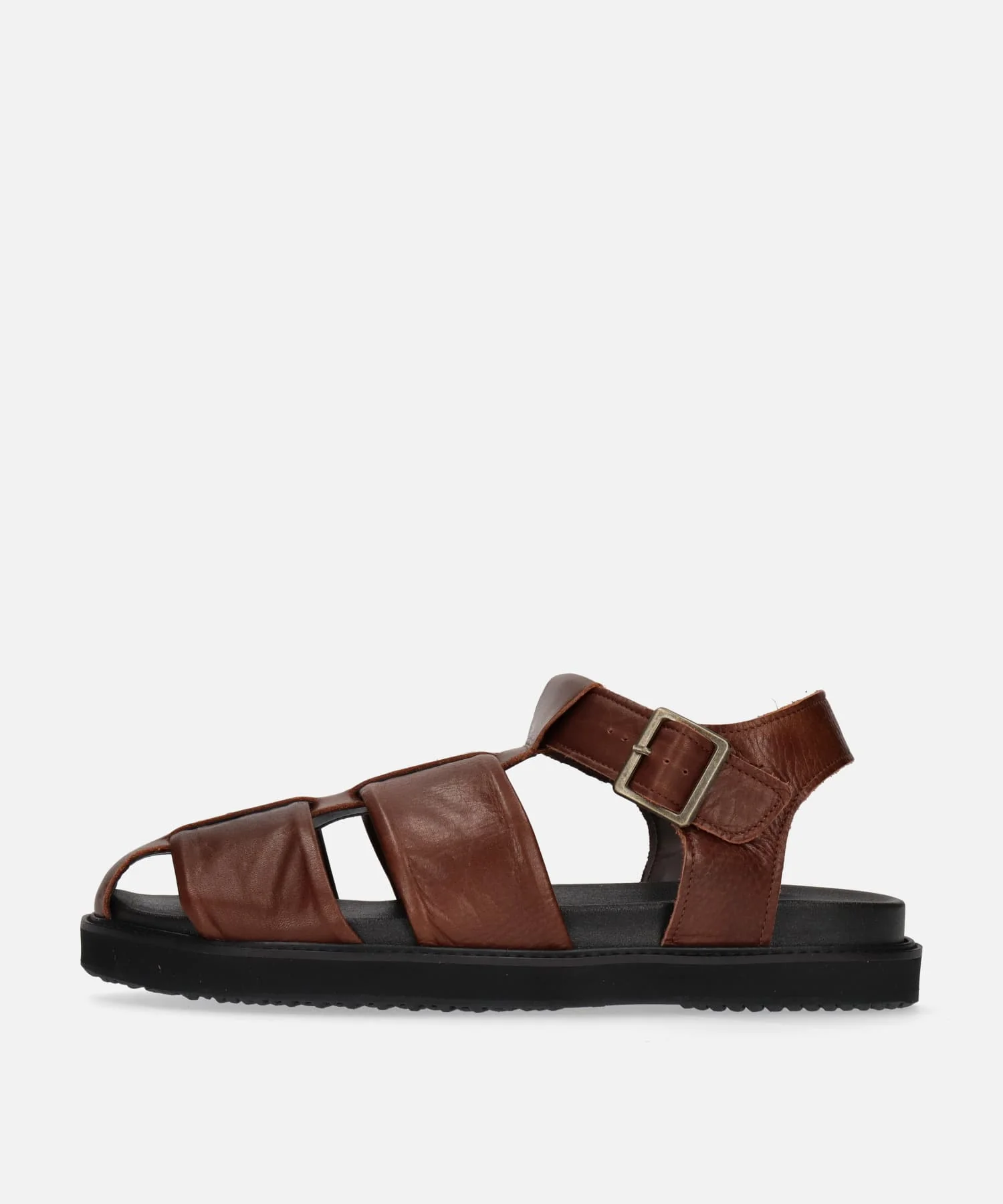 SP-1714 Brown