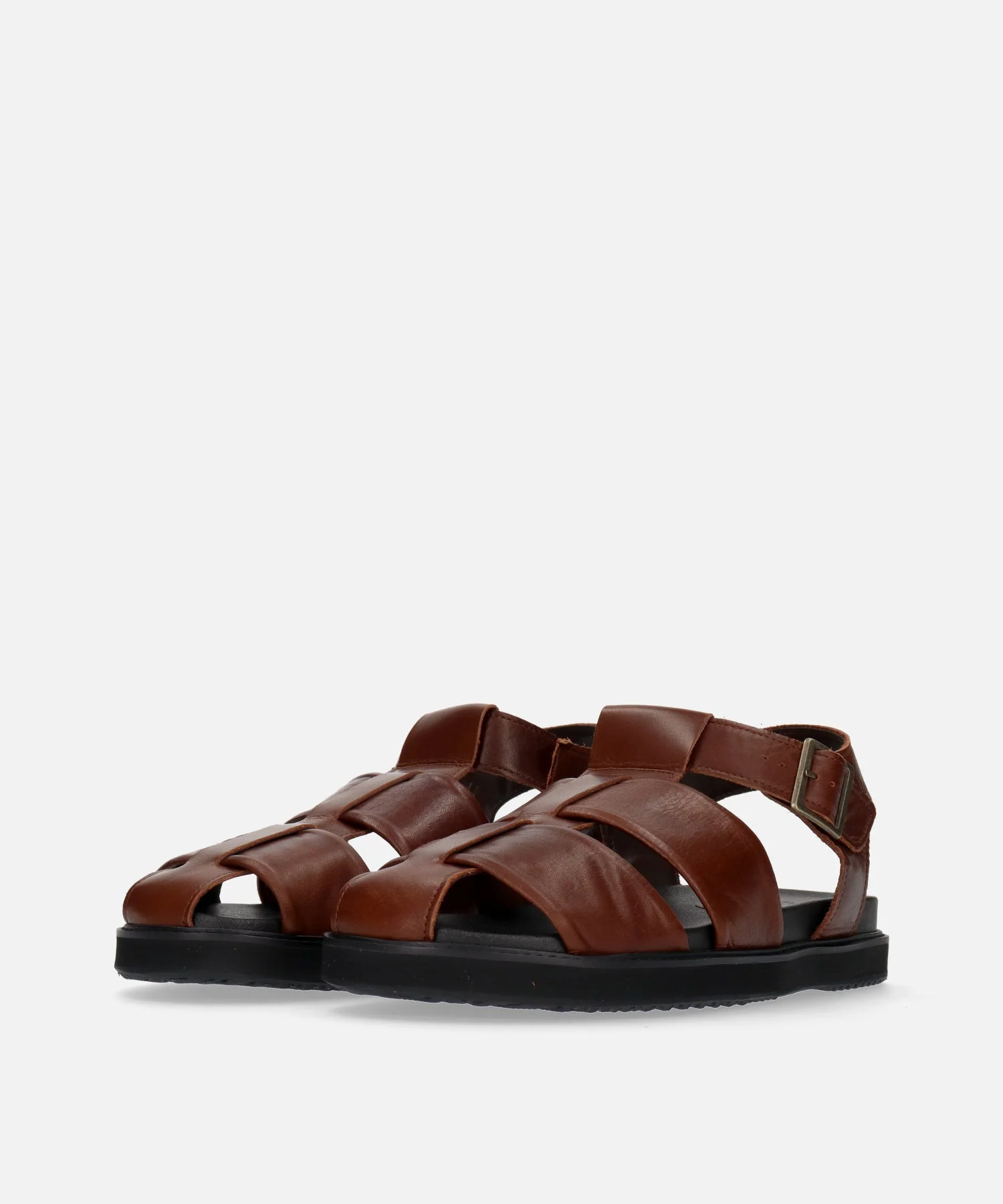 SP-1714 Brown