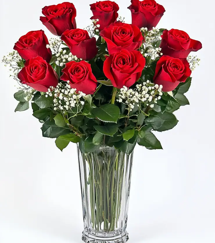 One Dozen Red Roses