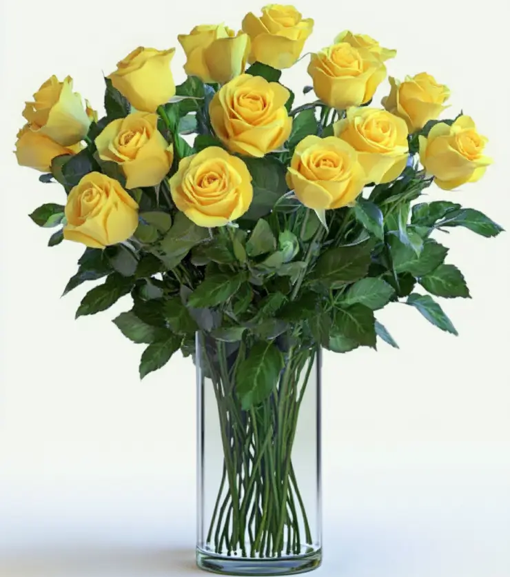 2 Dozen Yellow Roses