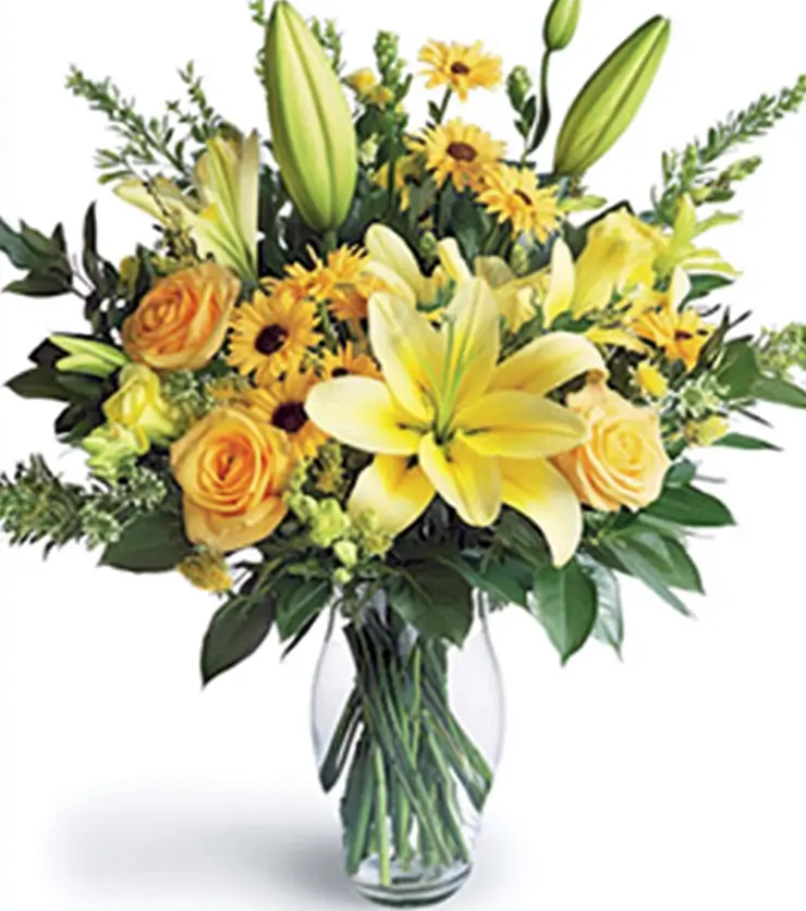 Colorful Expressions