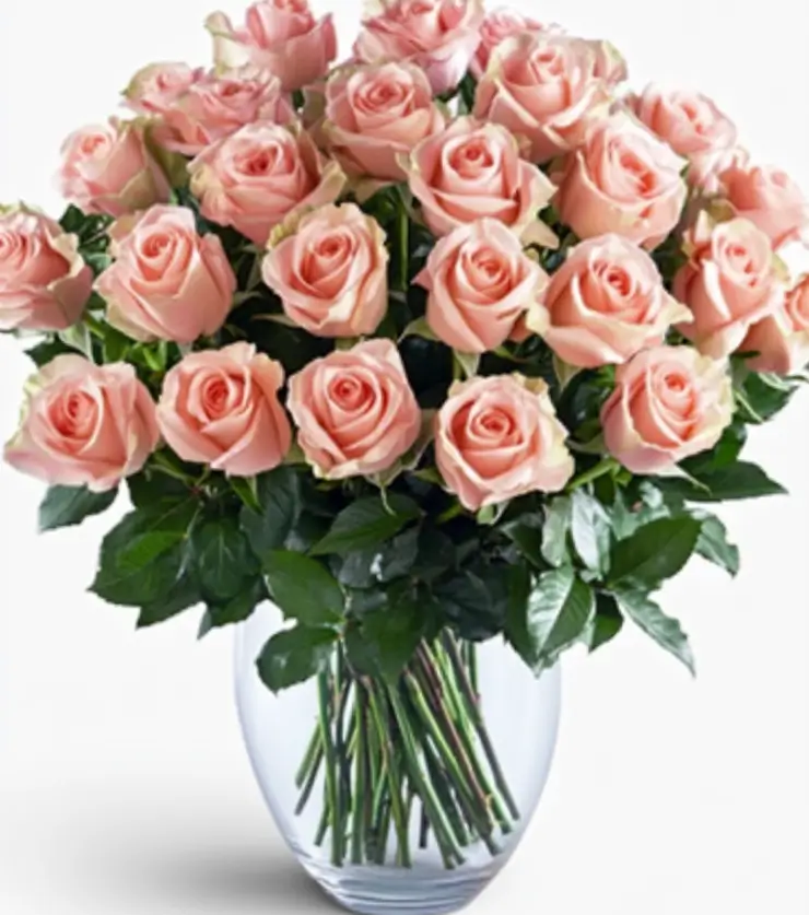 2 dz Lovely Pink Roses