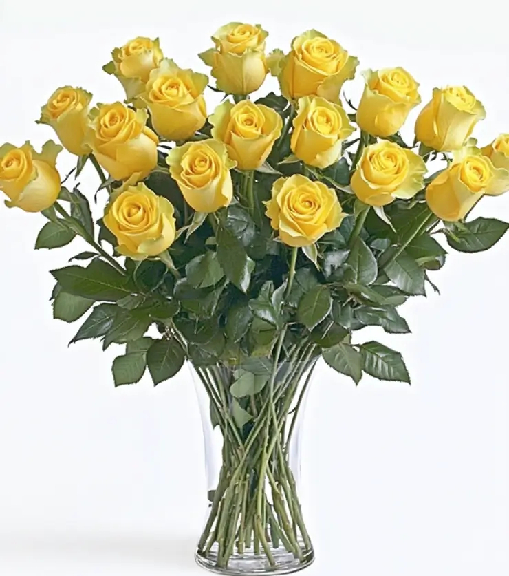 2 Dozen Yellow Roses