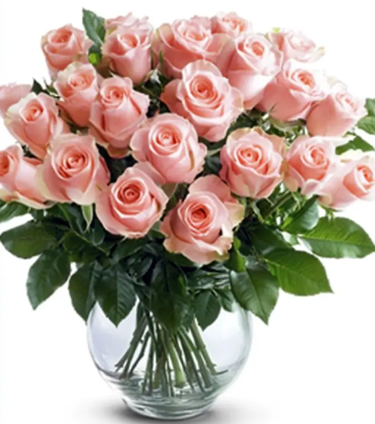 2 dz Lovely Pink Roses