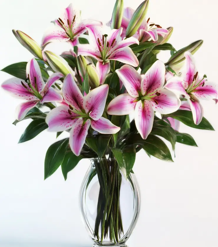 The New Home Bouquet