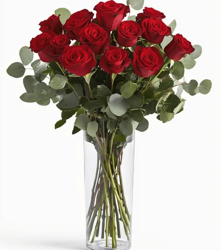 Elegant Dozen Roses