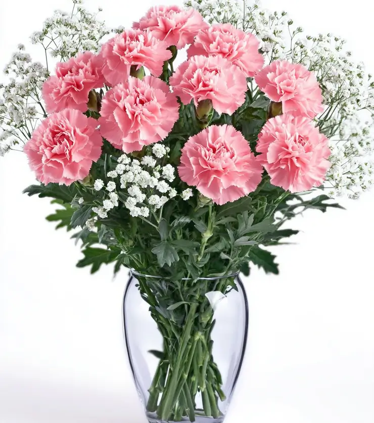 Sweet Carnations