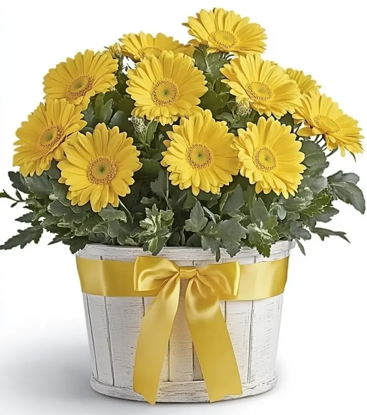 Sunstruck Floral Basket