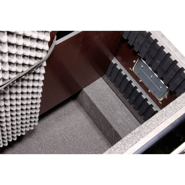 Thon Case for LCD & Plasma Displays