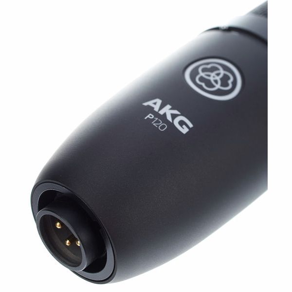 AKG P120
