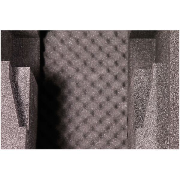 Thon Case 2x Stairville B2R Beam