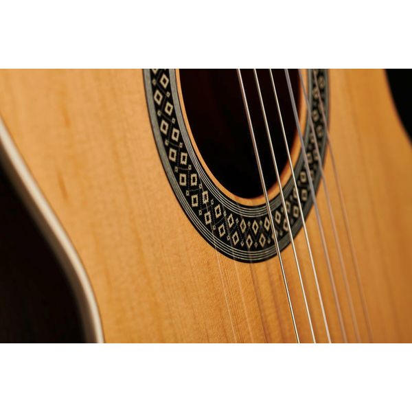 Alhambra 1C HT incl. Gigbag