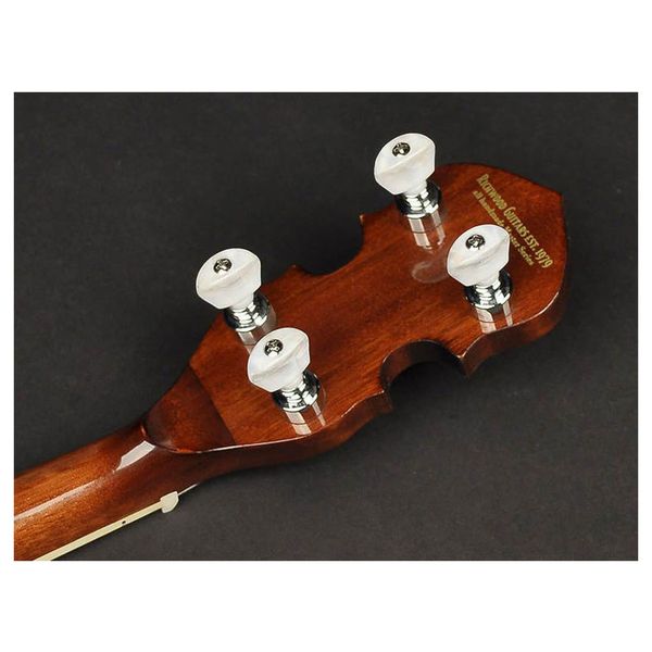 Richwood RMB-904-SS Tenor Banjo