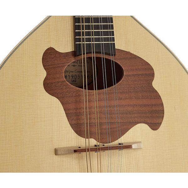 Gewa Pro Natura Mandolin