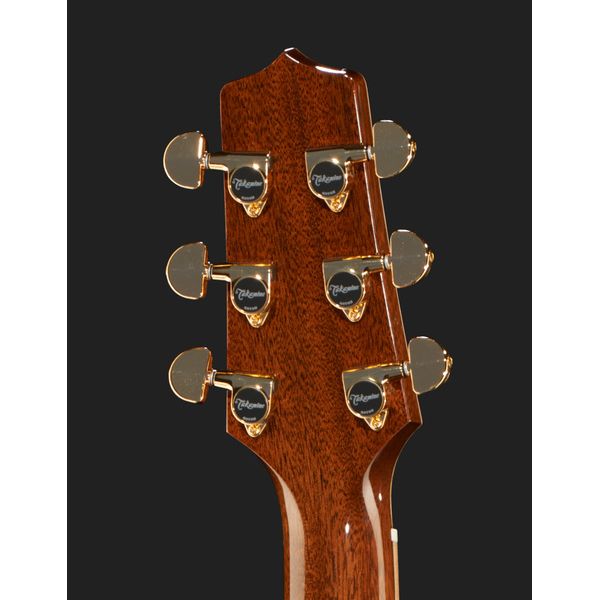 Takamine P7DC w/Softcase