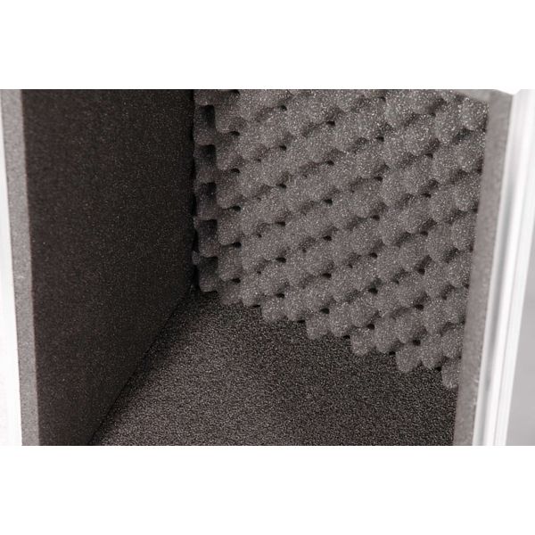 Thon Amp Case Engl Fireball 25