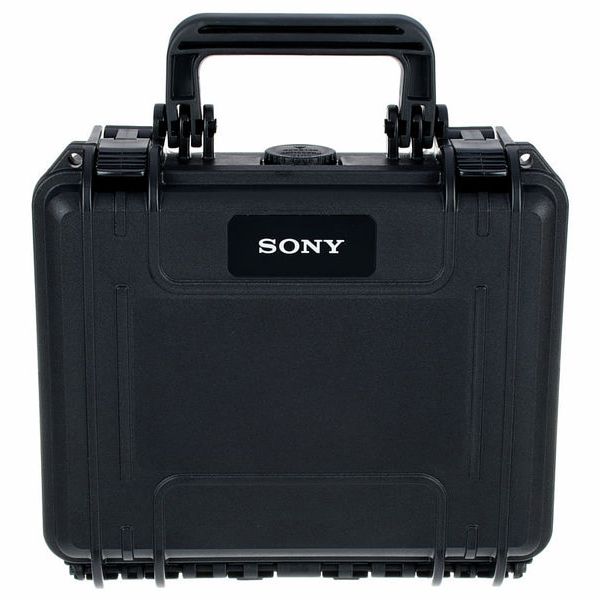 Sony C-100