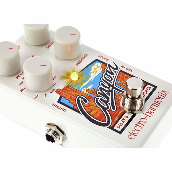Electro Harmonix Canyon Delay & Looper