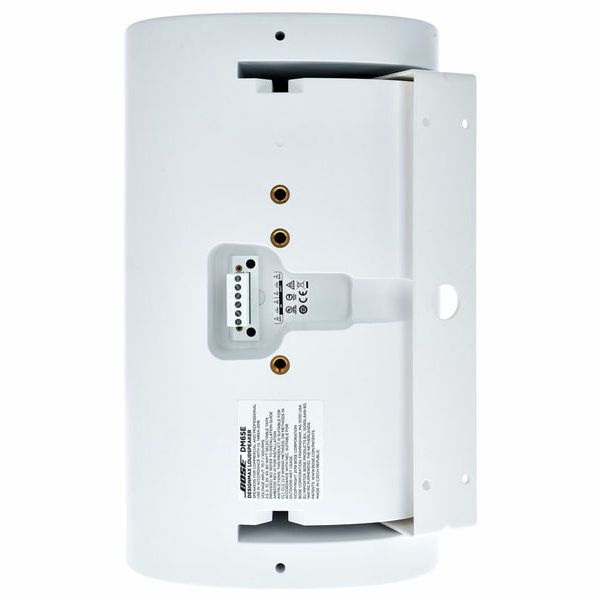 Bose Professional DesignMax DM6SE white