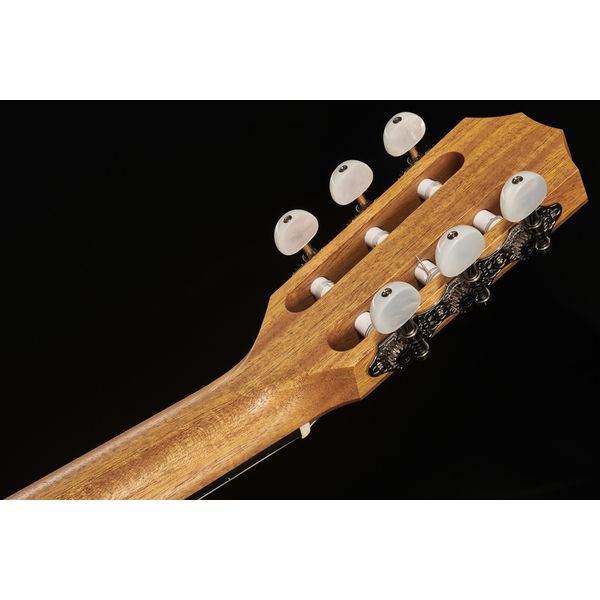 Taylor 214ce-N Spruce/Walnut