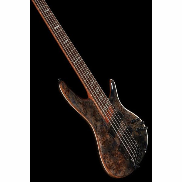 Ibanez SRMS805-DTW Workshop