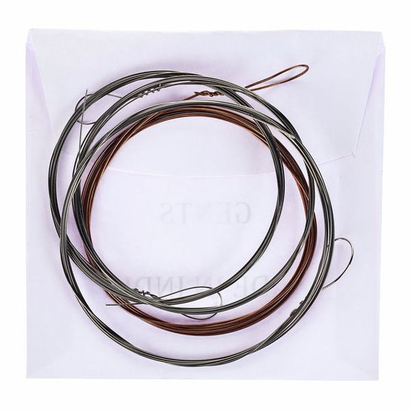 Thomann Nataraj Tanpura Strings GP