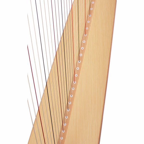 Salvi Una Mahogany Silkgut