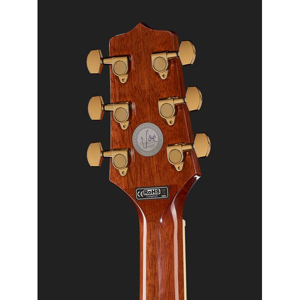 Takamine GN51CE-NAT w/Bag