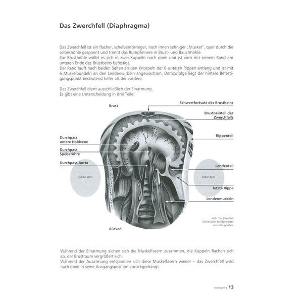 Voggenreiter  Voicecoaching