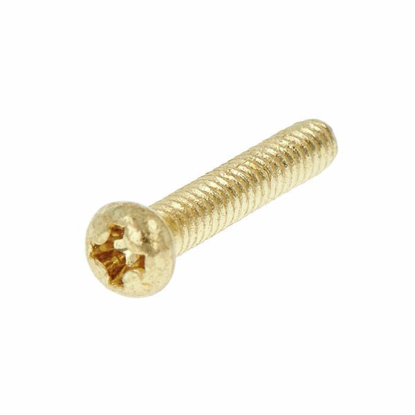 Göldo SR20G Screw f.Single Coils