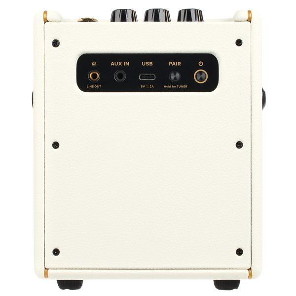 Positive Grid Spark Mini PW