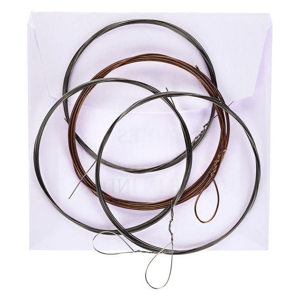 Thomann Nataraj Tanpura Strings LP