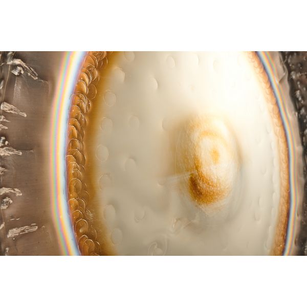 Thomann 28"/71cm Water Gong