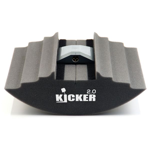 Sonitus Acoustics The Kicker 2.0 22"x17" Pillow