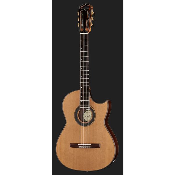 Hanika Fusion PC w/Pickup