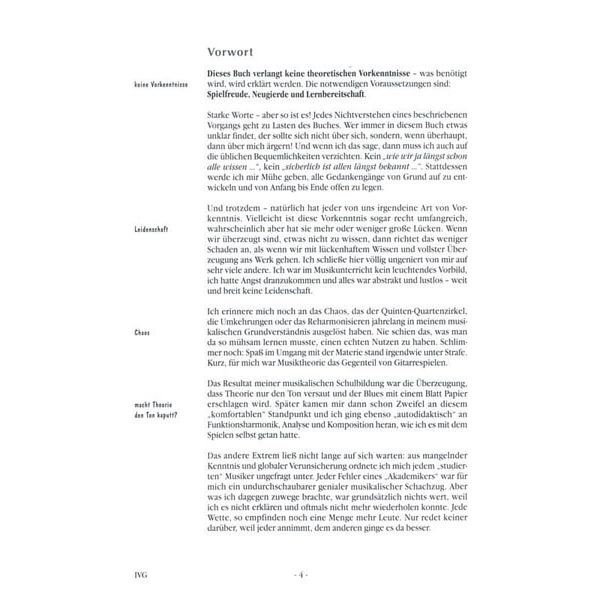 Voggenreiter In Vivo Guitar